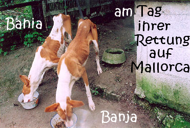 Bahia+Banja