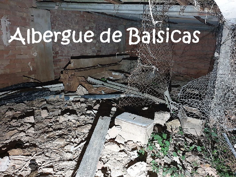 Balsicas_IMG-20191110-WA0019