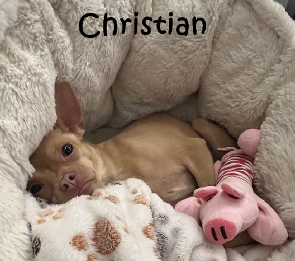 Christian_0812