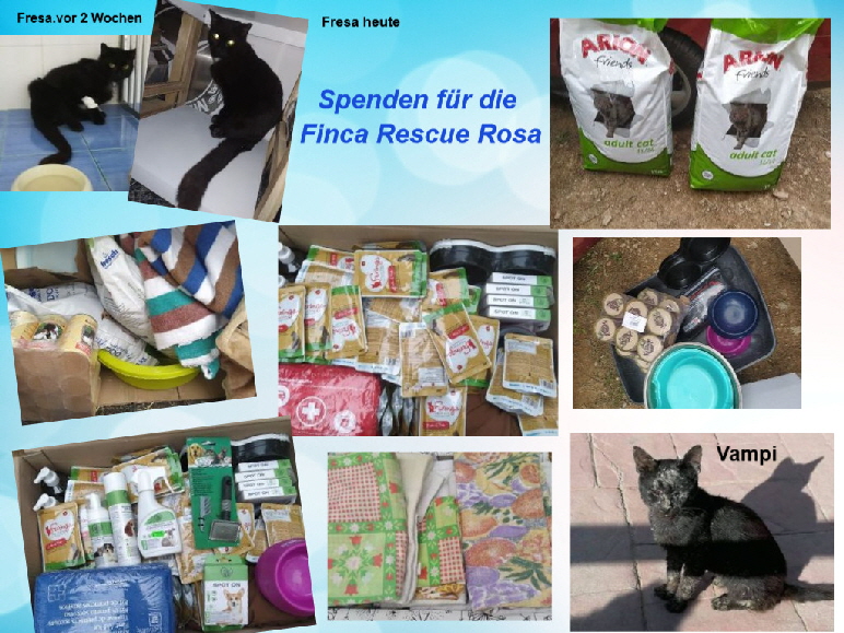 Finca_Rescue_Rosa1