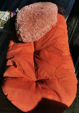 Fressnapf-Ru_20251122_122835