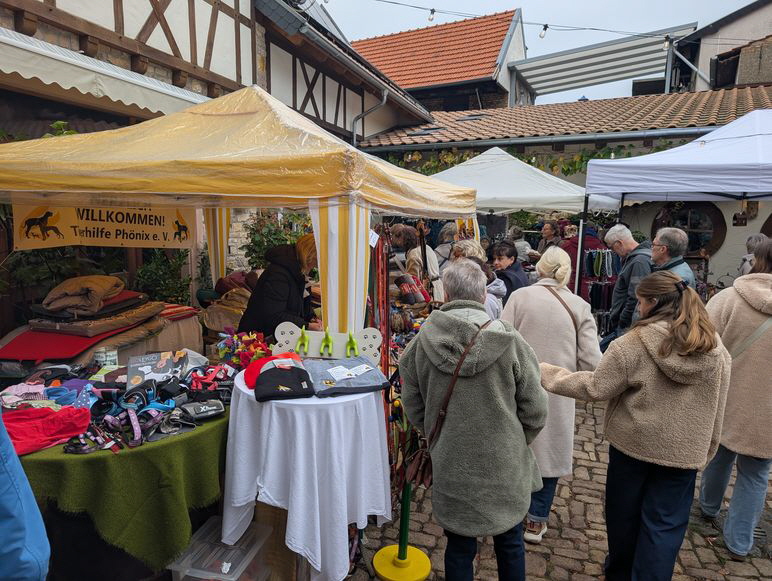 Herbstmarkt-Siefersheim_20261018_085926588.MP Herbstmarkt-Siefersheim_20261018_085926588.MP