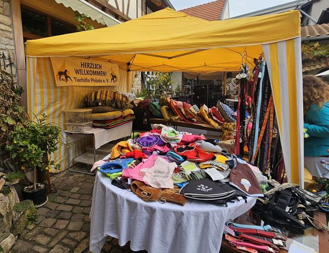 Herbstmarkt-Siefersheim_IMG-20251019-WA0022
