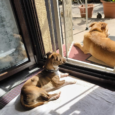 Jhayko-20260406-WA0001