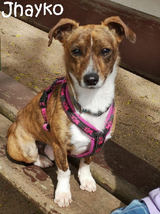 Jhayko-20260406-WA0002_mN