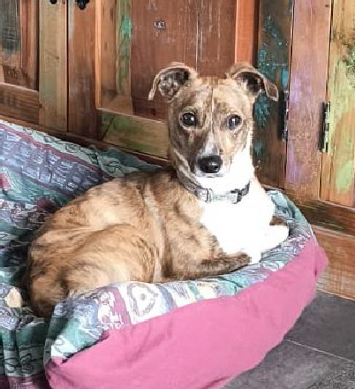 Jhayko-20260406-WA0013