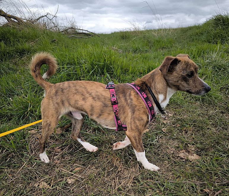 Jhayko-20260406-WA0017