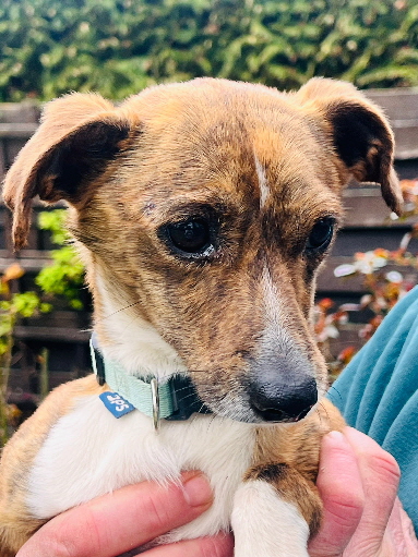 Jhayko-20260406-WA0021