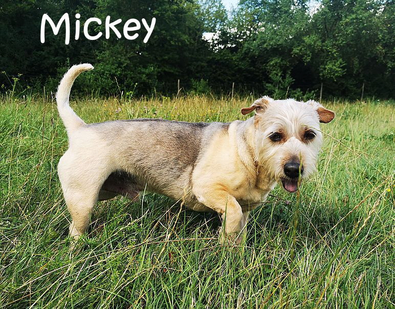 Mickey_20240728_161948_1