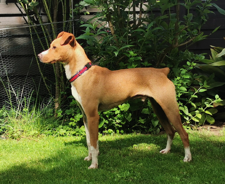 Otis_IMG_20260606_102723