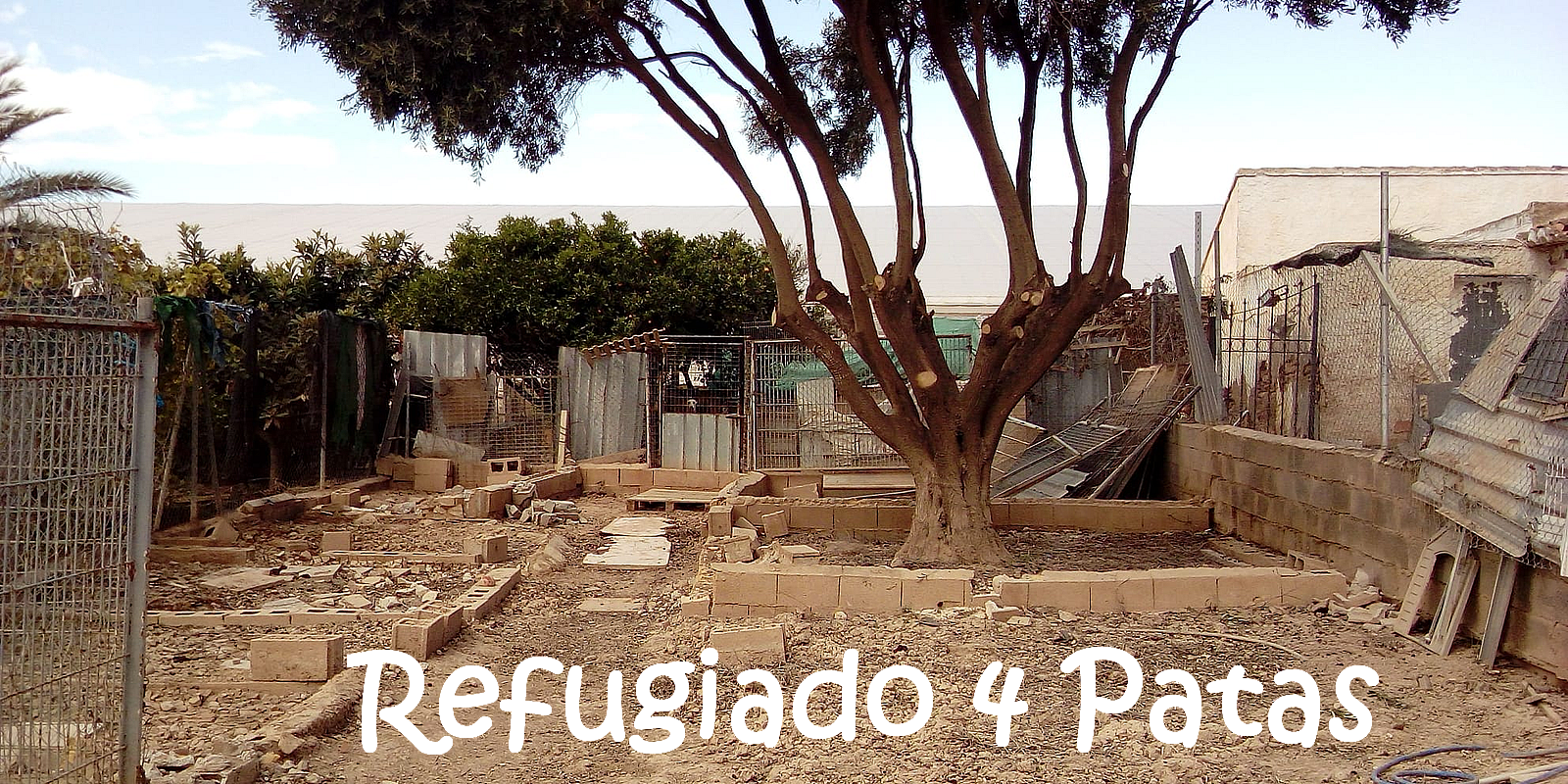 Refugiado4Patas_IMG-20191102-WA0003 Kopie_mN