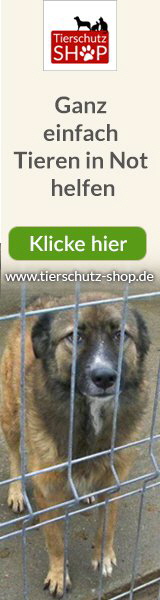 Tierschutz-Shop-Prämien-Banner-Hund-long