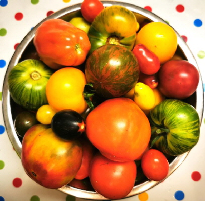 Tomaten_IMG_20230802_224324