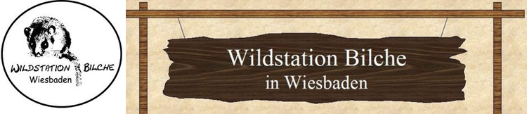 Wildstation_Bilche