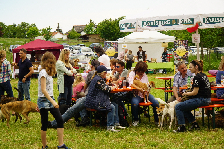 Fruehlingsfest_2019_DSC00786 Kopie