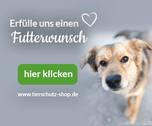 Tierschutz-Shop-Wunschliste-Banner-Hund4