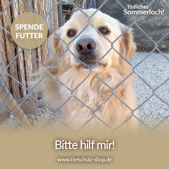Tierschutz-Shop_toedliches_Sommerloch_2019_Facebook_Tierhilfe Phnix e.V._2