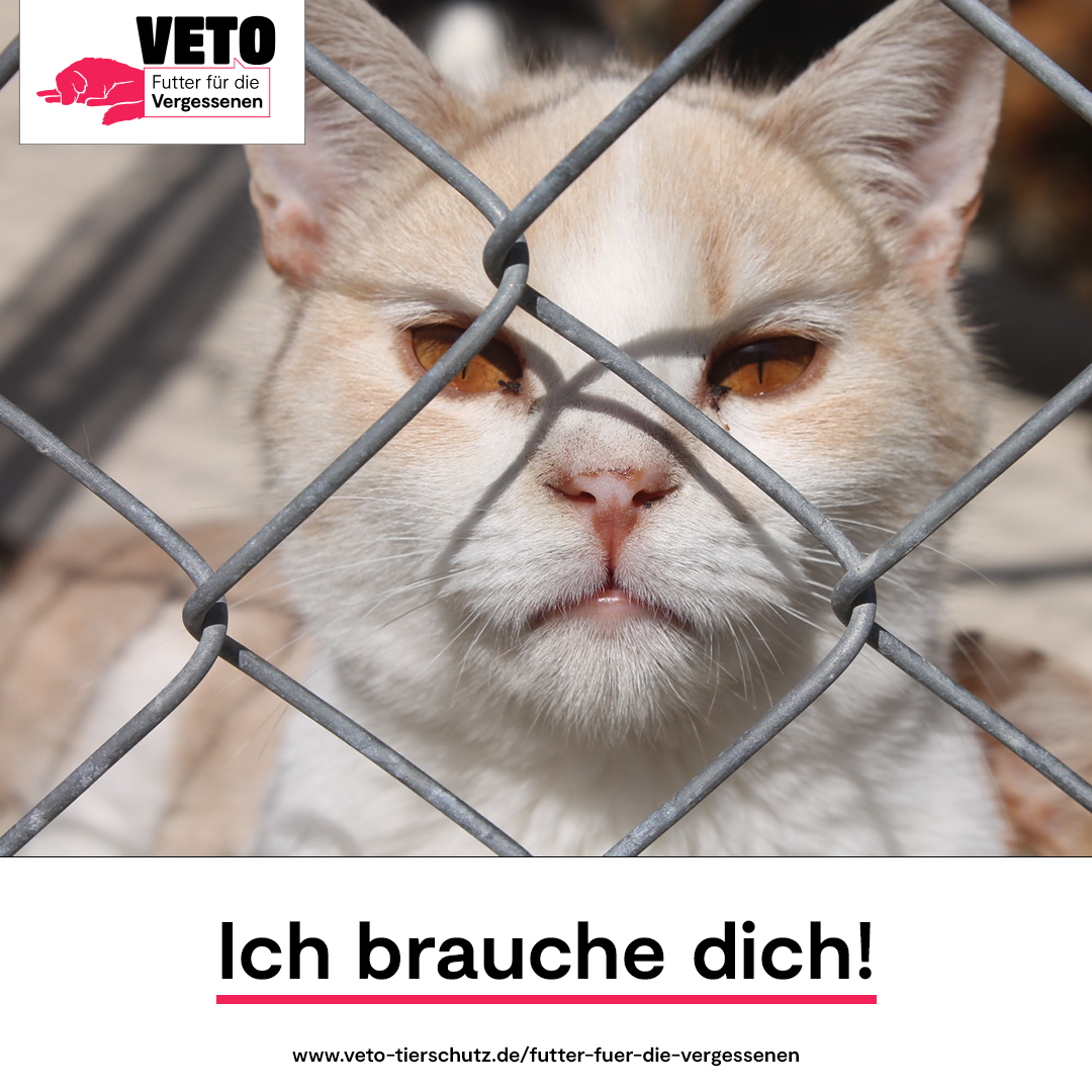2-Futter_fuer_die_Vergessenen-Ich_brauche_dich-Tierhilfe Phnix e.V