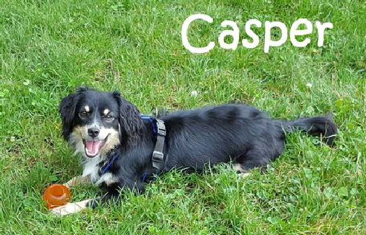 20160806_115657_Casper
