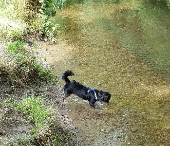 20160806_120637_resized