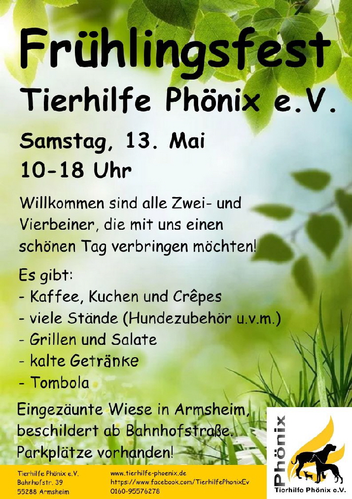 301218761_Tierhilfe Phoenix_Plakat Kopie