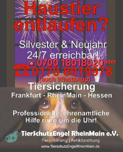 471944983_9263372563693198_7677018627342827047_n