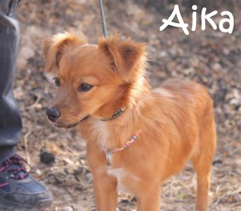 Aika_IMG_4476_mN