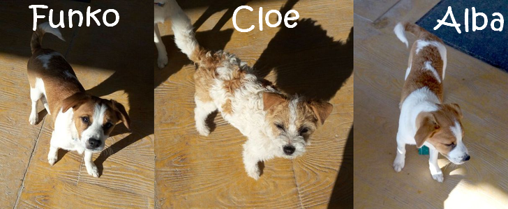 Alba+Cloe+Funko_mN