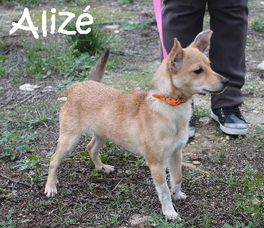 Alize_IMG_8813_mN