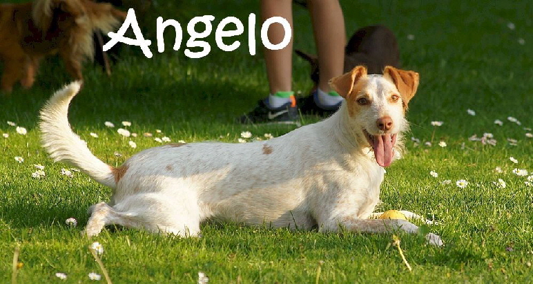 Angelo_DSC02060_mN