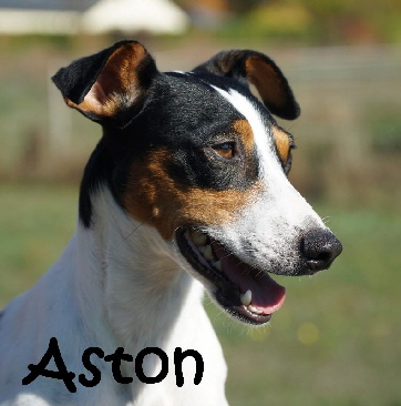 Aston_DSC07987_mN