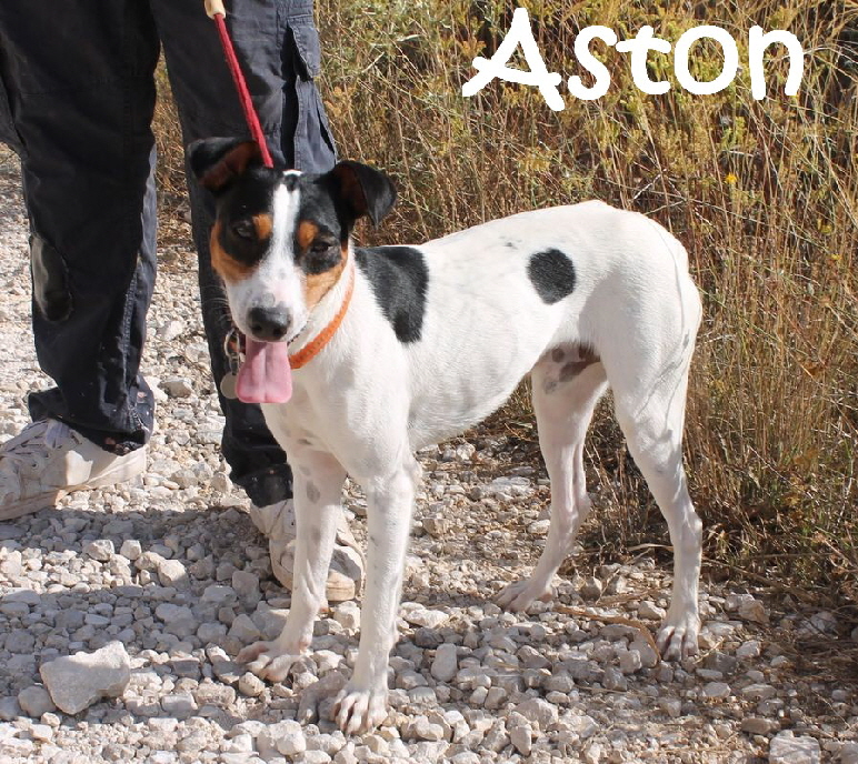 Aston_IMG_2514_mN