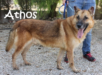Athos_IMG_8597