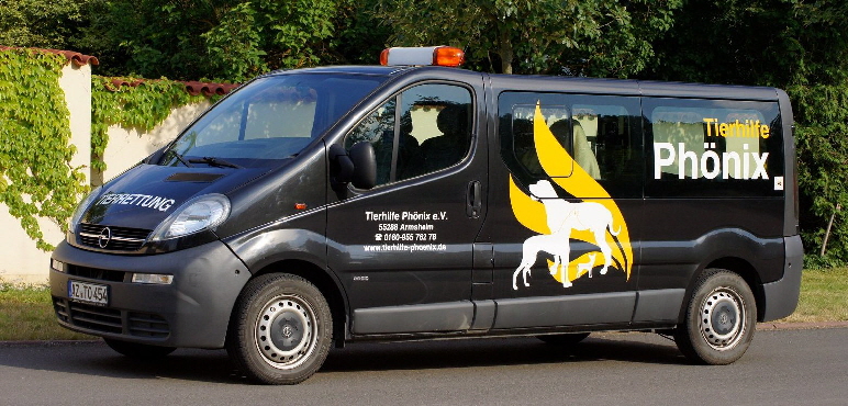 Auto_beklebt_514