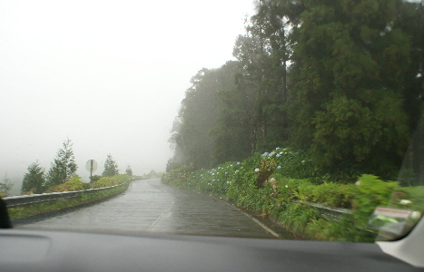Azoren_2013_DSC00060