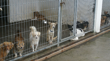 Azoren_2013_DSC00247