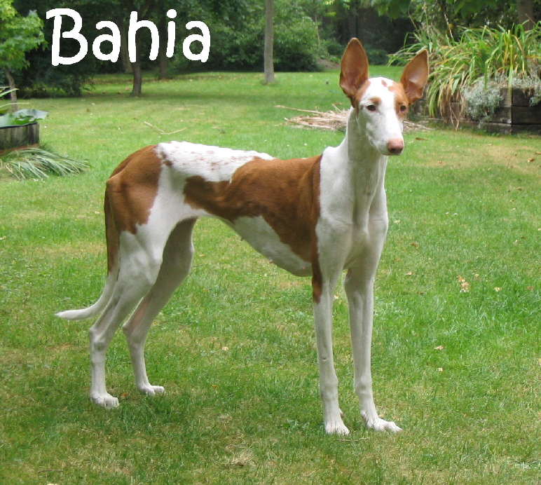 Bahias_erster_Tag_30_mN