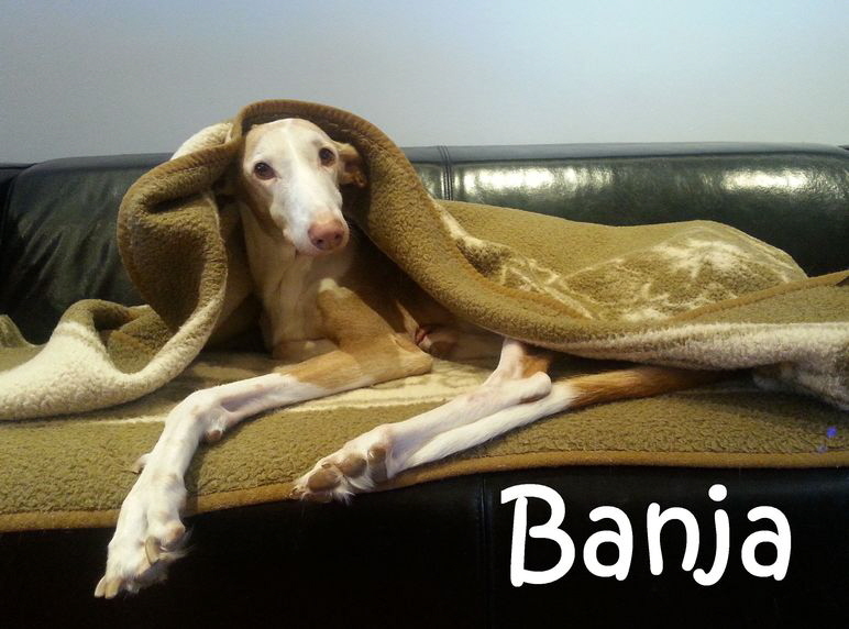 Banja_20161102_111820_mN