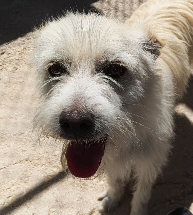 Batwin_20250517_120856 Batwin_20250517_120856