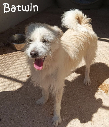 Batwin_20250517_120905_Mn