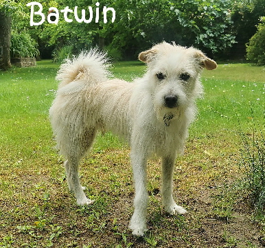 Batwin_20250607_104034_mN Batwin_20250607_104034_mN