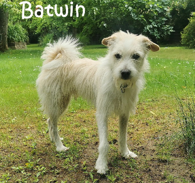 Batwin_20250607_104034_mN Batwin_20250607_104034_mN