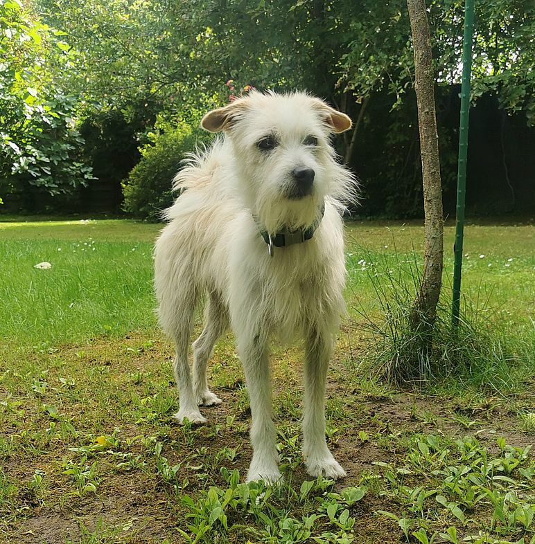 Batwin_20250607_104046 Batwin_20250607_104046