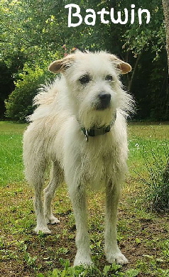 Batwin_20250607_104046_mN