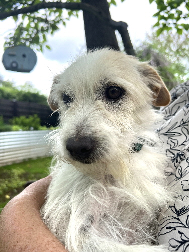 Batwin_3754 Batwin_3754