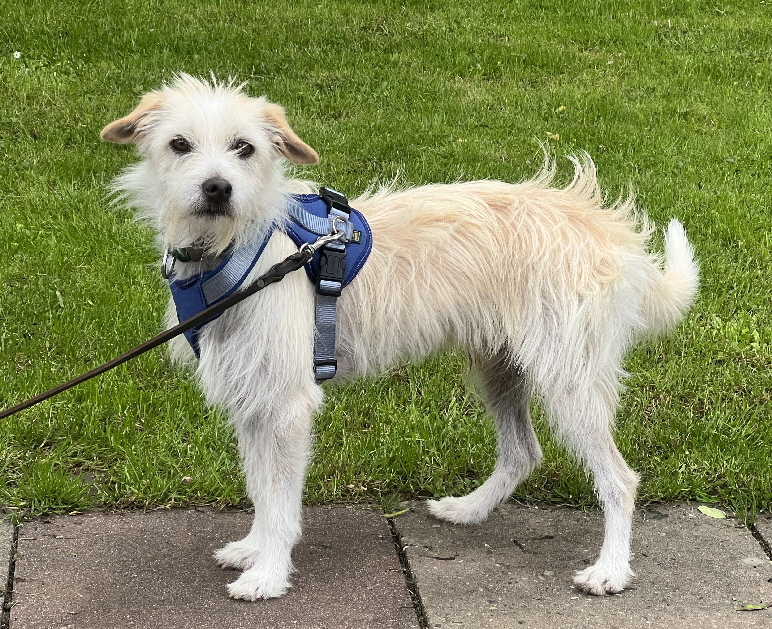 Batwin_3813 Batwin_3813