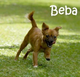 Beba_DSC07877_mN