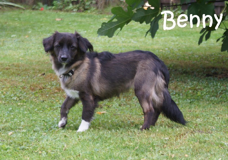 Benny_DSC00595_mN