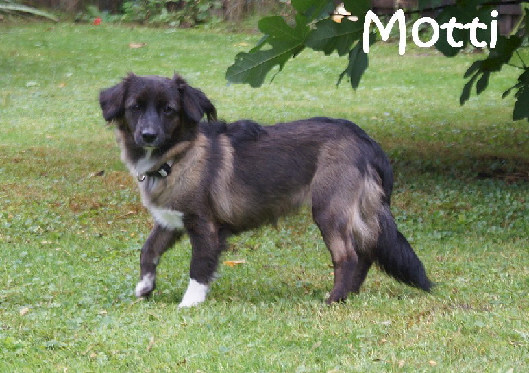 Benny_DSC00595_mN_Motti