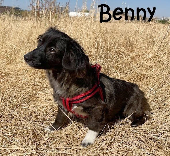 Benny_IMG_8928_mN